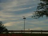STOL on a Lamp Post - or Not...  Medford, Massachusetts