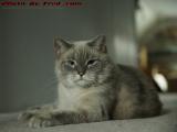 Silly Posing For a Portrait, Lynn, Massachusetts