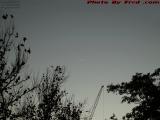 Dry Sunset With Jet Streak and Standing Crane, Plantation