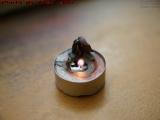 Tea Light, All the Rememberances, Medford, Massachusetts