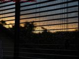 Morning Rain on the Screen, St. Tropez Apartments