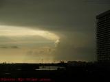 A Face Looking Out of a Storm, from Sawgrass Mall