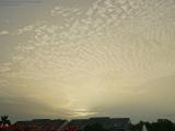 Dawn Breaking Everywhere - or At Least in Plantation