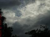 Textured Clouds in Late Afternoon Light, Plantation