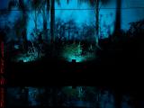 Movie-Style Lighting, South Pine Island Road, Plantation