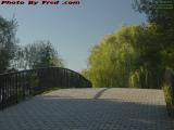 Inviting Walkbridge in Late Day's Light, Boston Esplanade