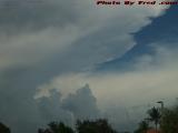 Supplicants Under a Smothering Mass, Miami Lakes, Florida