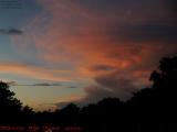 Big Fish Eating a Small One, Fort Lauderdale Sunset