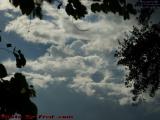 Surf Crashes as Little People Wave, Plantation Cloudscape