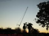 Constructing Palm Trees?  Juxtaposition in Plantation