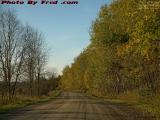 Country Road in Late Afternoon Sun, Wellsville, New York