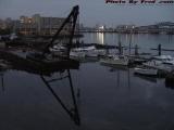 20060816.jpg