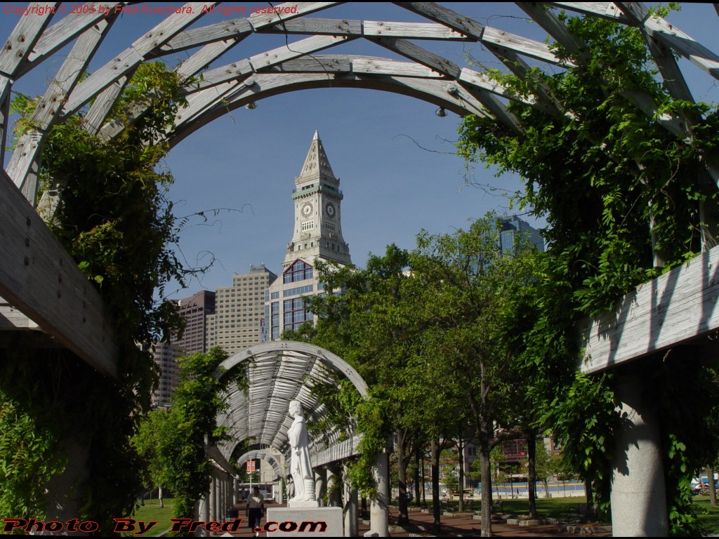 20050810.jpg