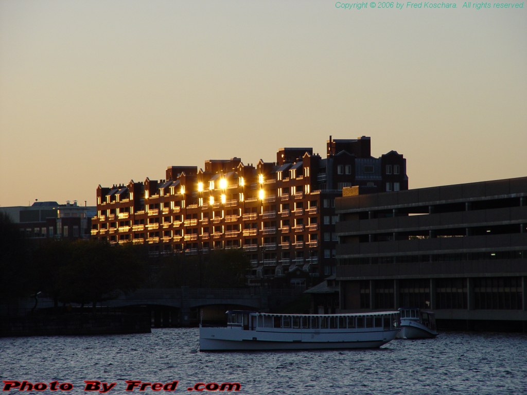 20060616.jpg