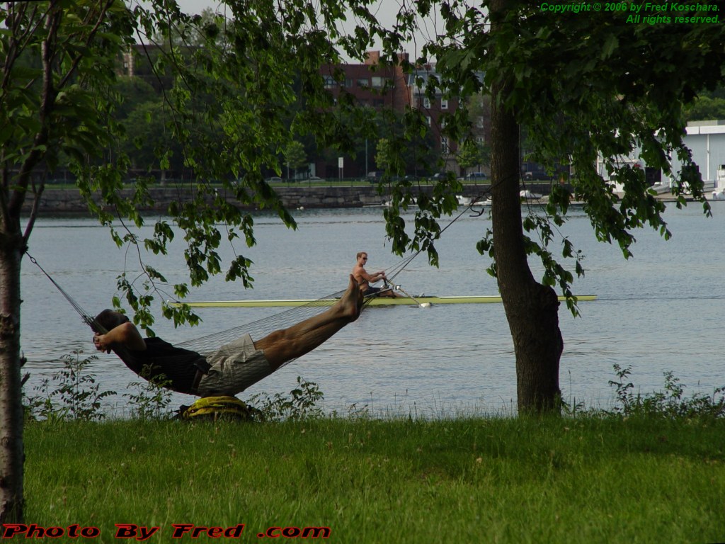 20060617.jpg