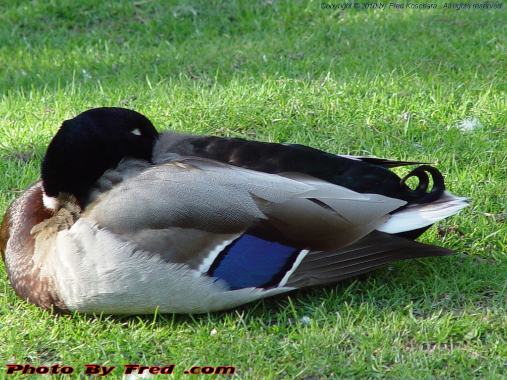 20100428.jpg