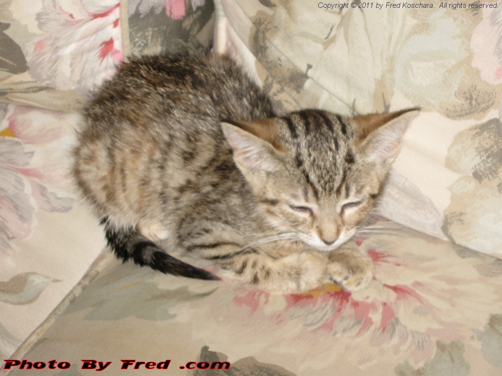 20110511.jpg