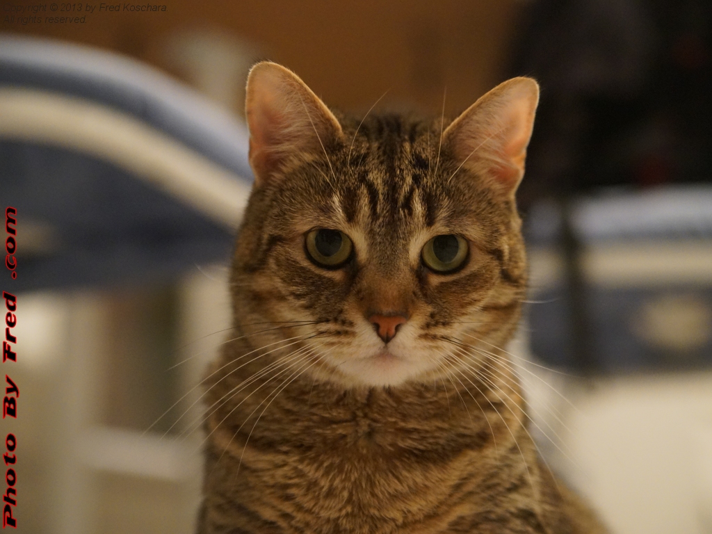 20130511.jpg